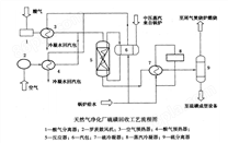 化工厂硫化氢配料系统