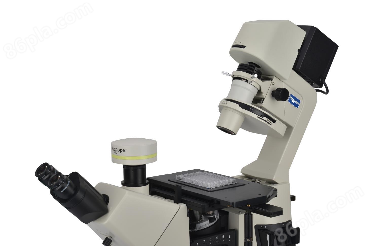 NIB900-FL倒置荧光显微镜(图5)