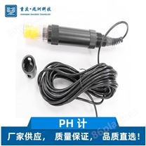 PH计 便携式PH计 水质分析仪器 贵州PH计