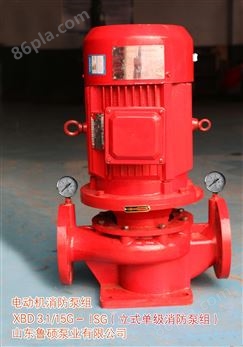 电动机消防泵组