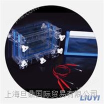 DYCZ-30C双板夹芯式垂直电泳仪 垂直电泳槽用途 北京六一垂直电泳仪价格