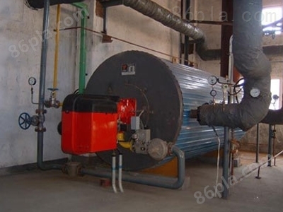 拉萨生物质蒸汽热水锅炉厂家办事处现货