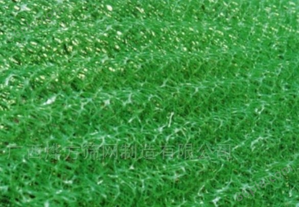 三维植被网固土网护坡盖土网绿化土工格网